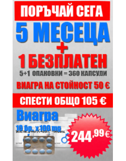 Програма 5+1 Месеца